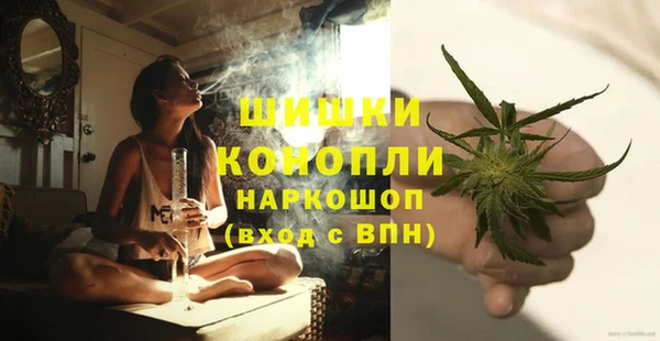 ECSTASY Новозыбков