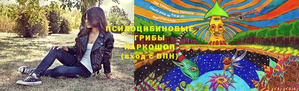 герыч Новодвинск