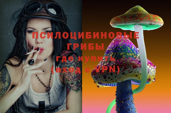 герыч Новодвинск