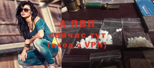 ECSTASY Новозыбков