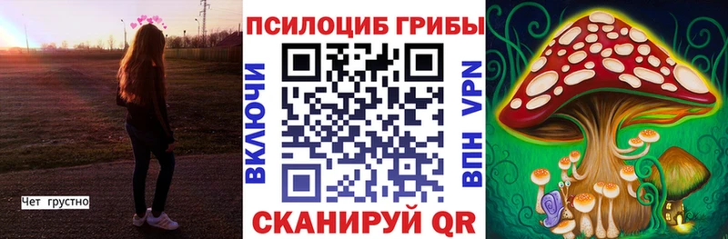 гидра ссылки  Полевской  дарк нет какой сайт  Галлюциногенные грибы прущие грибы 