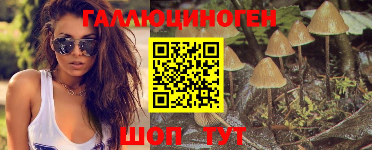 Полевской  Галлюциногенные грибы ЛСД  Вход с VPN  Галлюциногенные грибы прущие грибы 
