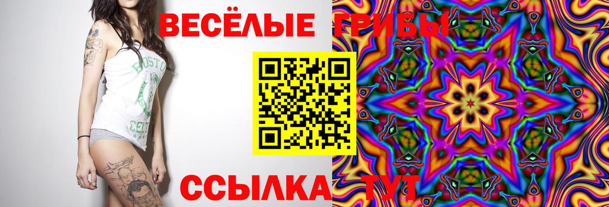 Псилоцибиновые грибы GOLDEN TEACHER Полевской
